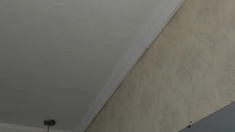 Sofi - next broadcast today 1030pm Colombia time online show from 02-26-25, 04:47