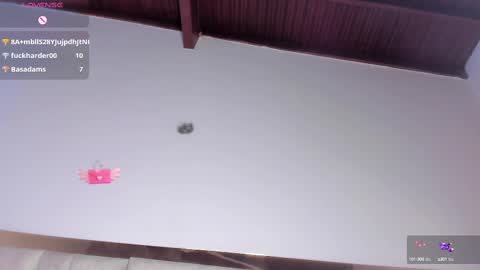 Snapshot of sofiscott_ chatting on 03-09-25, 10:41 Sofia online show from 03-09-25, 10:41