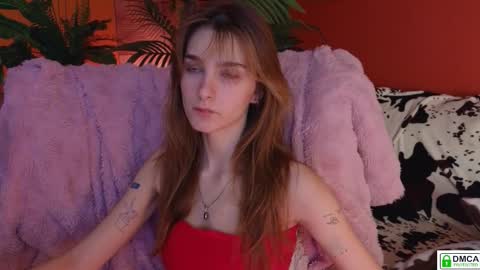 Snapshot of soft_animal chatting on 11-09-25, 08:45 E online show from 11-09-25, 08:45