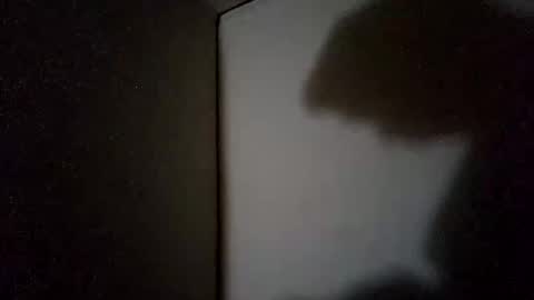 Snapshot of sohan730903 chatting on 11-18-25, 02:10 sohan730903 online show from 11-18-25, 02:10