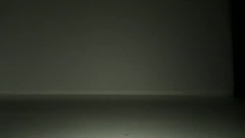 L4 online show from 11-12-25, 07:03