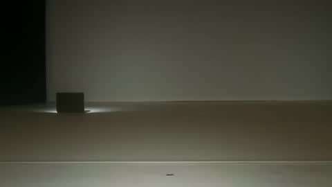 Ol4 online show from 06-19-26, 08:51