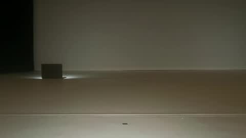 Ol4 online show from 06-20-26, 08:50
