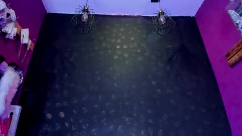 Alexa online show from 02-12-26, 07:31