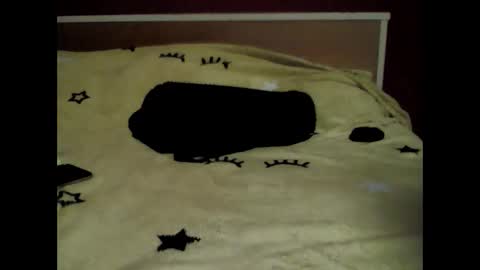 Snapshot of sonya786071 chatting on 03-03-26, 05:41 sonya online show from 03-03-26, 05:41