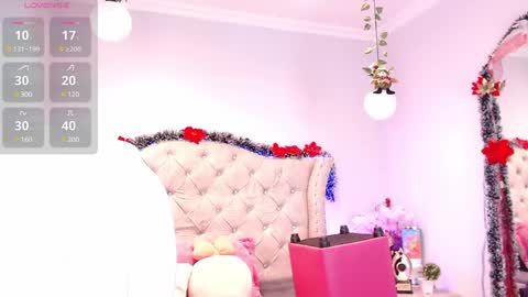 Shophi online show from 12-28-24, 08:25