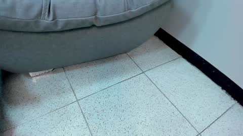 sophieharris__ online show from 01-18-25, 05:41