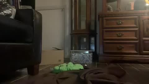 Southernblueyes online show from 04-11-26, 08:13