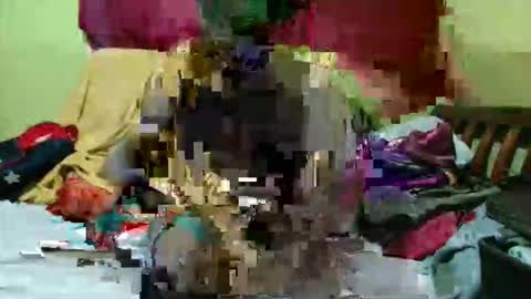 spicy_bella69 online show from 05-17-26, 12:01
