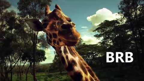 Snapshot of sport_tall_karina chatting on 01-18-25, 09:02 Karina online show from 01-18-25, 09:02