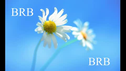 Snapshot of sport_tall_karina chatting on 02-28-25, 08:31 Karina online show from 02-28-25, 08:31