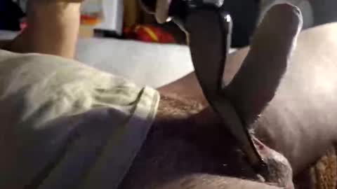 srb543 online show from 12-16-25, 09:09