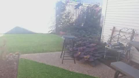 srtxshow online show from 09-26-25, 02:43