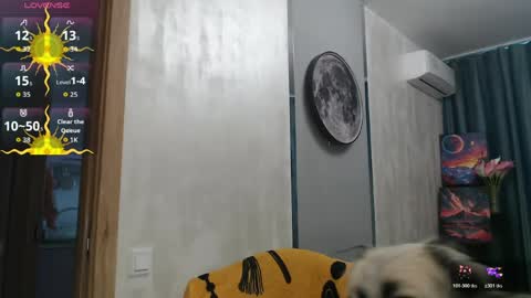 STACY online show from 05-28-26, 11:40