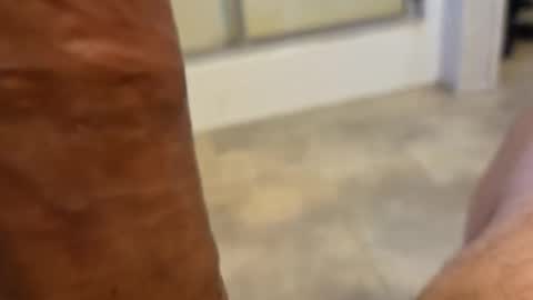 stareyes0249 online show from 09-11-25, 10:32