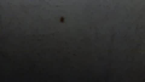 starguy600 online show from 01-11-26, 07:46