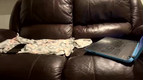 starr3095 online show from 01-09-25, 06:06