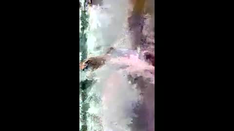 Snapshot of starrywhispers chatting on 03-28-26, 11:21 StarryWhispers online show from 03-28-26, 11:21