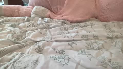 Stassiethatsororitygirl online show from 02-22-25, 08:53