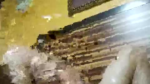 Snapshot of stchelly627 chatting on 03-08-26, 06:28 stchelly627 online show from 03-08-26, 06:28