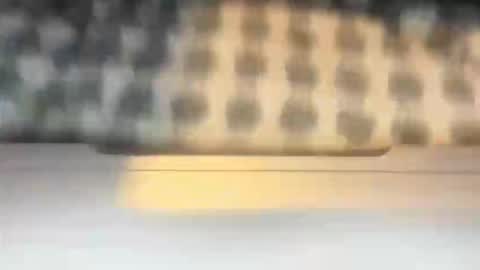 stcolster online show from 03-07-26, 12:13