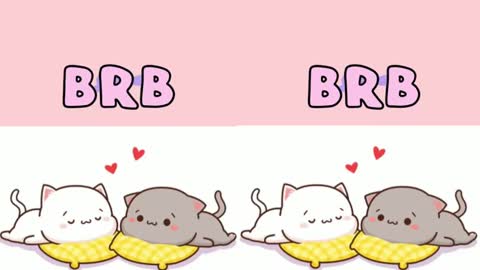 STEFFAN online show from 02-16-25, 05:37