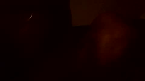 Snapshot of stefy1037 chatting on 06-13-26, 05:49 stefy1037 online show from 06-13-26, 05:49