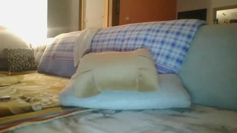 Snapshot of steki038434 chatting on 01-12-25, 02:03 steki038434 online show from 01-12-25, 02:03