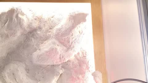 S T E L L A online show from 02-28-26, 11:06