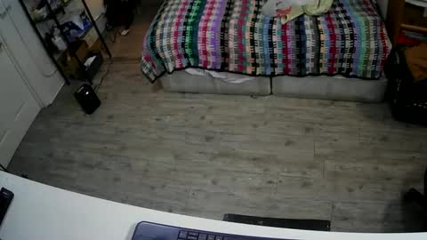 sterileball online show from 12-07-24, 03:47