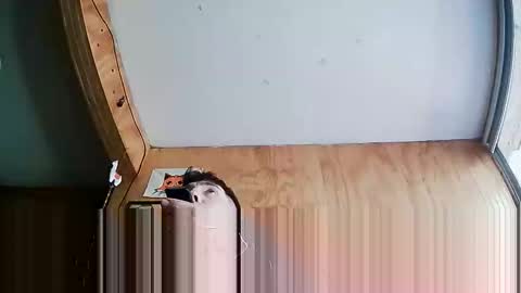 Snapshot of stevenbrookless chatting on 10-04-25, 07:23 Steve online show from 10-04-25, 07:23