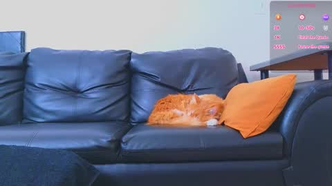 Stiven Montiel online show from 01-09-26, 01:47