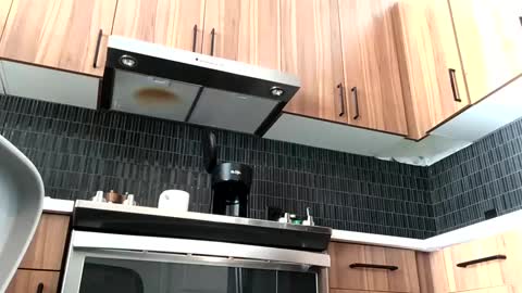 Snapshot of stlhotwifeguy chatting on 02-14-25, 03:36 stlhotwifeguy online show from 02-14-25, 03:36