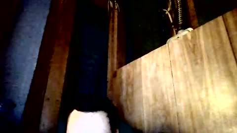 stonedstallion2019 online show from 04-02-26, 07:33