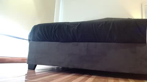 Snapshot of storm_hanks chatting on 01-14-26, 11:38 storm_hanks online show from 01-14-26, 11:38