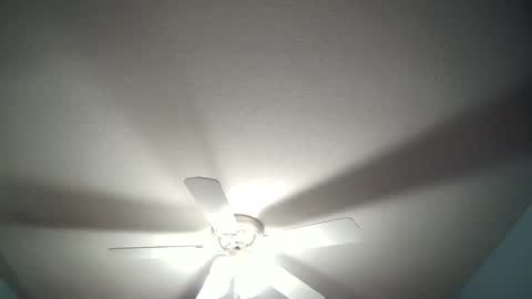 Snapshot of str8whiteboy21 chatting on 12-19-24, 04:34 str8whiteboy21 online show from 12-19-24, 04:34