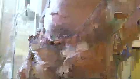 straightstroker81 online show from 12-11-24, 06:58