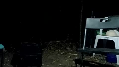 Bigdickdugan online show from 02-12-25, 01:06