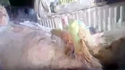 Snapshot of stud_1975 chatting on 07-18-26, 12:31 stud_1975 online show from 07-18-26, 12:31