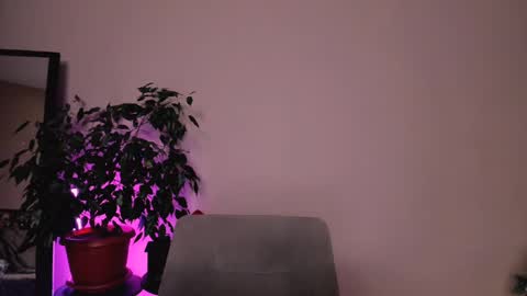 Snapshot of stuffed_cookie chatting on 12-18-24, 01:45 Mary online show from 12-18-24, 01:45