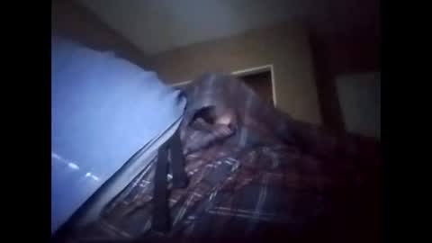 suavecito123828379 online show from 01-17-26, 08:45