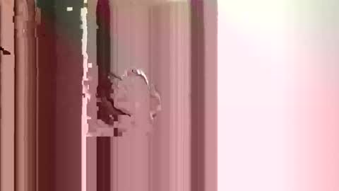 JJ online show from 12-17-25, 02:56