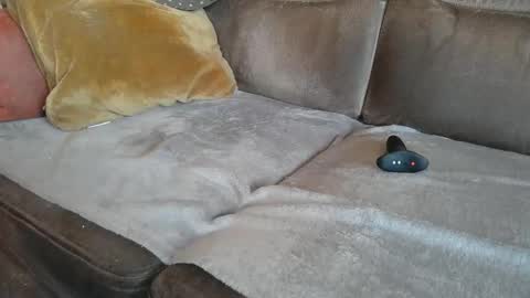 Suessli online show from 10-22-25, 07:08