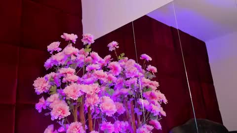 Snapshot of sugar_maple chatting on 09-26-25, 05:11 Sugar online show from 09-26-25, 05:11