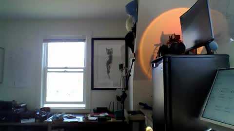 Sugar online show from 04-18-26, 08:42