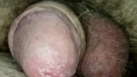 Samenspender online show from 05-20-26, 06:19
