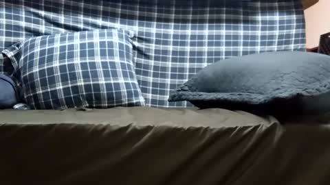 Snapshot of super_dave88 chatting on 09-28-25, 10:53 Super dave88 online show from 09-28-25, 10:53