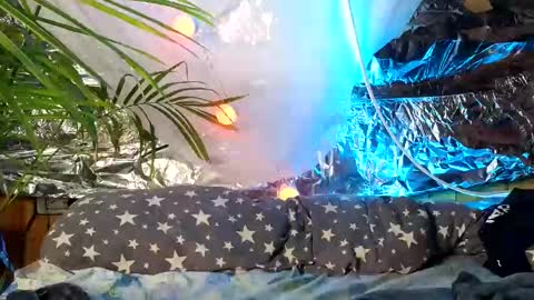 super jony and Marta GMT 1300-1800 every day online show from 10-09-25, 09:51