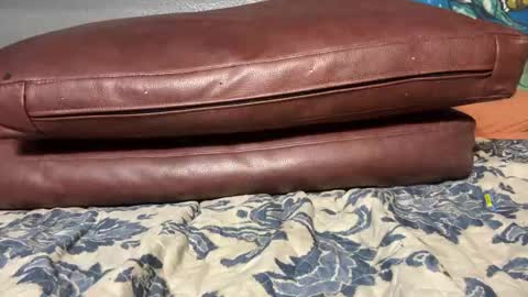 Snapshot of supremelifers chatting on 01-20-25, 11:56 Stony online show from 01-20-25, 11:56