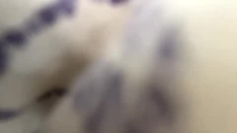 Andy online show from 01-30-25, 09:58